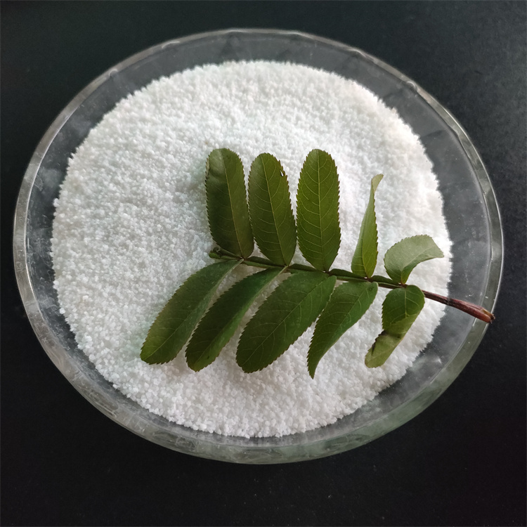 �۱�ϩ����